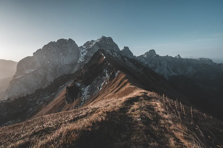 Une crête d’herbes sèches mène vers des montagnes dans une lumière douce.